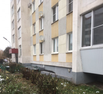 Произвели обрезку кустарников в 134 микрорайоне