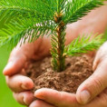 Прими участие в «Зеленой акции»!