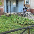 Покос травы продолжается