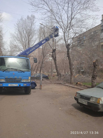 Произведён спил аварийных деревьев