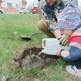 Благодаря их стараниям город станет зеленее