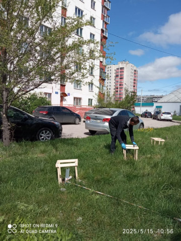 Сделали ограждения для сохранности сосен и елей