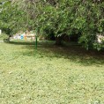 Установка новых скамеек и покос сорной растительности на Ленина, 152☀