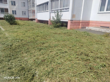 В 145 микрорайоне приступили ко второму покосу травы