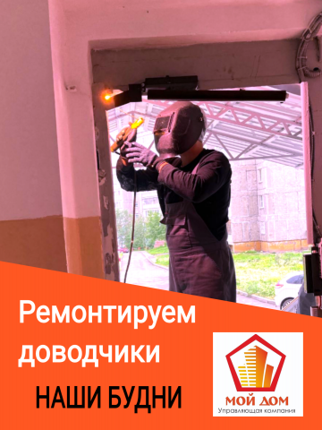 НАШИ БУДНИ