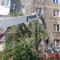 Произведена cанитарная обрезка кроны и снос аварийного дерева на придомовой территории по ул. Коробова, д.18