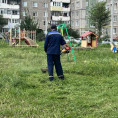 Завершился покос травы