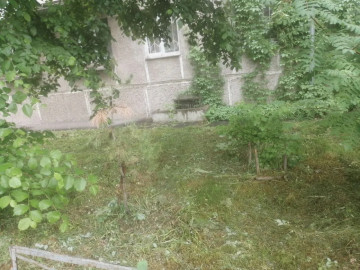 Возле дома № 8/1 по улице Бориса Ручьева завершился покос травы