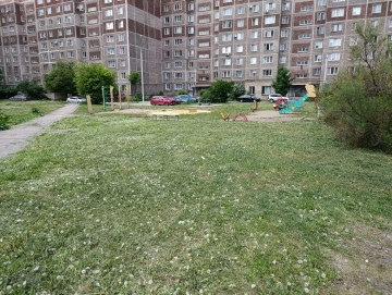 Во дворах продолжается покос травы