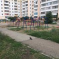 Покраска малых форм на территории 145 микрорайона