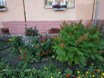 Красота  руками наших жильцов