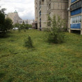 🌿☘Продолжение....Покос травы на придомовой территории обслуживаемых многоквартирных домов по ул. Тевосяна,19 и ул. 50- летия Магнитки,63
