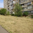 ООО УК "Мой дом" закончила первый покос травы в этом сезоне.
