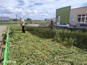 Продолжаем косить траву