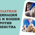Не забывайте сделать прививку от бешенства своим домашним питомцам!