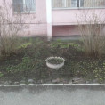 В борьбе за чистоту дворов!