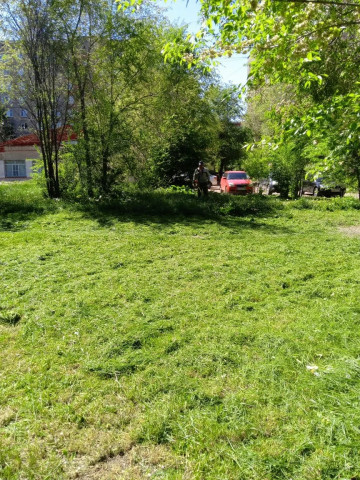 В 136 микрорайоне приступили к покосу травы