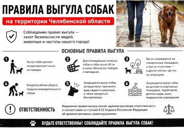 Держишь собаку в квартире – соблюдай правила выгула!
