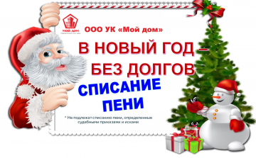 В НОВЫЙ ГОД БЕЗ ДОЛГОВ!