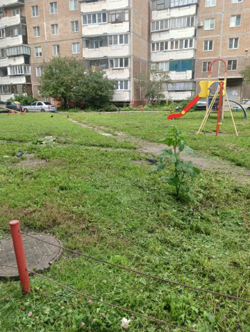 В 143 микрорайоне продолжается покос травы