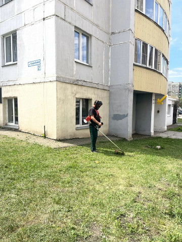 В 137 и 138 микрорайонах завершился покос травы