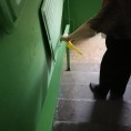 Продолжаем проводить обработку дезинфицирующими средствами мест общего пользования
