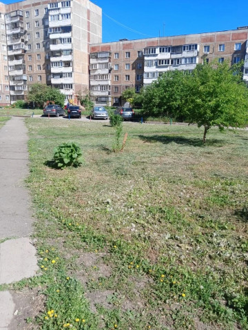 Запах лета