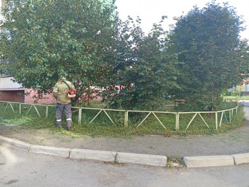 Продолжаем покос травы