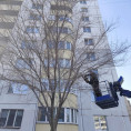 Весенняя обрезка деревьев стартовала в 137 и 138 микрорайонах