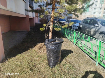 Уборка продолжается, дворы преображаются